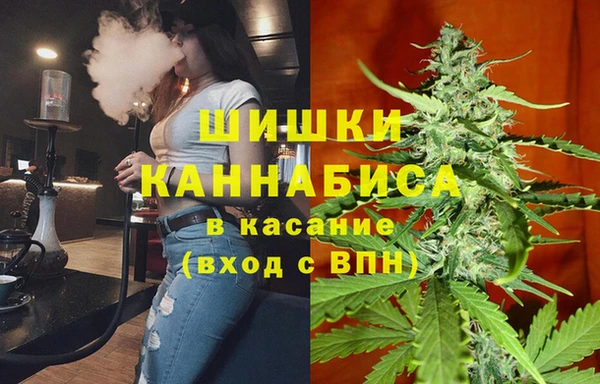 гидропоника Новозыбков