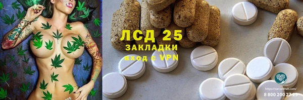 гидропоника Новозыбков