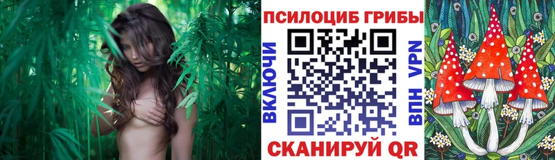 Галлюциногенные грибы прущие грибы  Торжок 